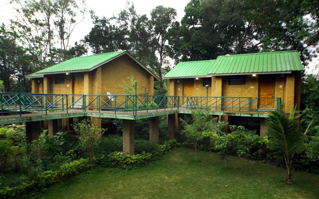 Mpt White Tiger Forest Lodge Tāla Εξωτερικό φωτογραφία