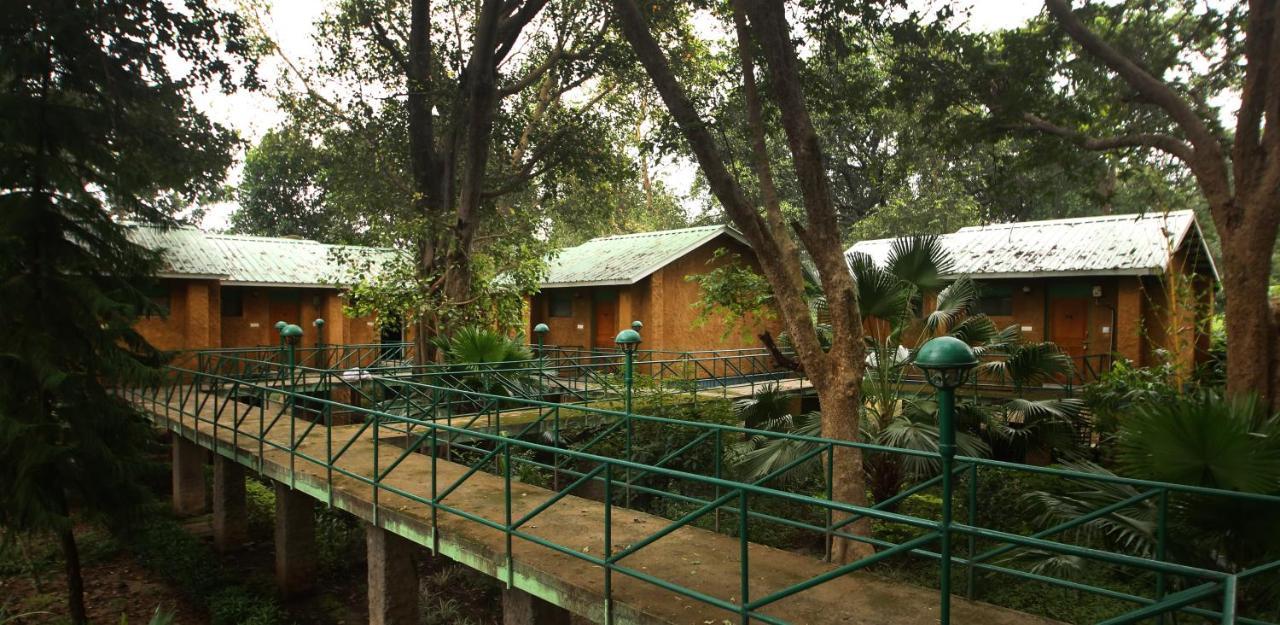 Mpt White Tiger Forest Lodge Tāla Εξωτερικό φωτογραφία
