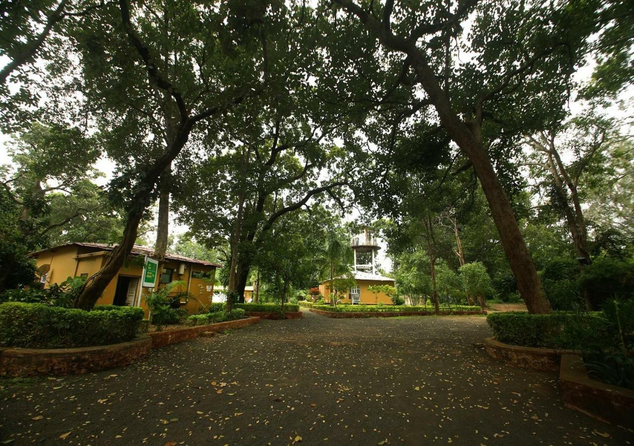 Mpt White Tiger Forest Lodge Tāla Εξωτερικό φωτογραφία